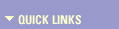 Quick Links